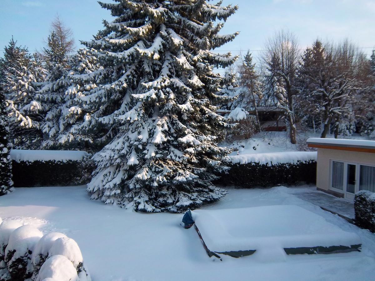 Hotel & Pension Assmann Hochkirch Екстериор снимка