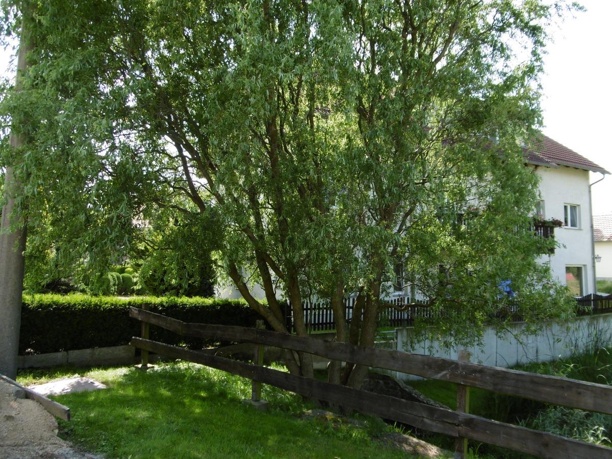 Hotel & Pension Assmann Hochkirch Екстериор снимка