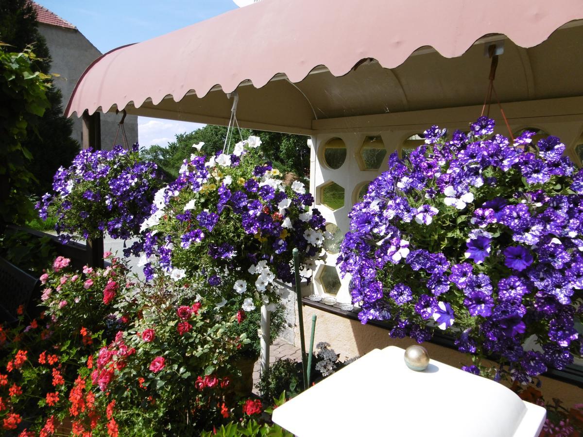 Hotel & Pension Assmann Hochkirch Екстериор снимка