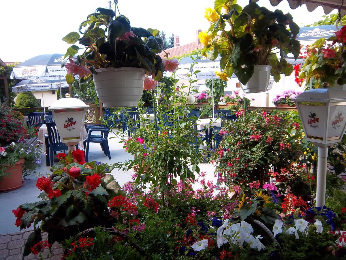 Hotel & Pension Assmann Hochkirch Екстериор снимка